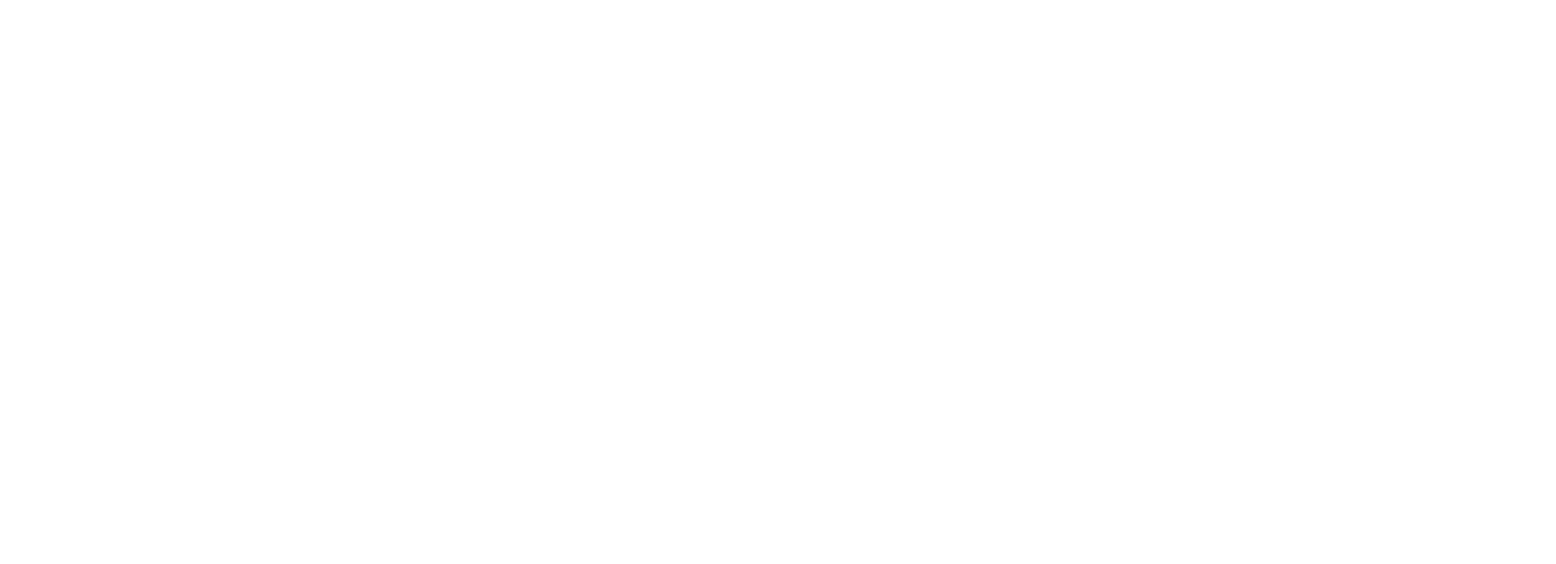logo-skuads-blanc